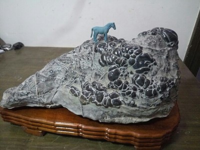 灵璧珍珠石图片