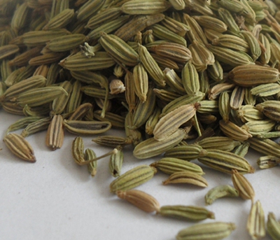 小茴香100g香料大全特级川菜调料炖羊肉奇香小茴香果桂皮草果香叶