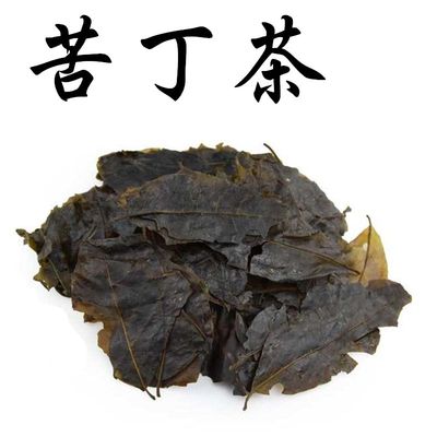 小叶苦丁茶图片