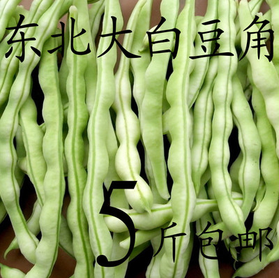 东北豆角新鲜图片