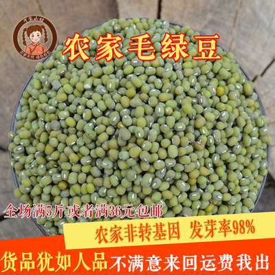 非转基因绿豆图片