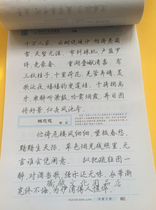 满额包邮吴玉生钢笔字帖/成人练字硬笔字帖/宋词三百首行楷行书