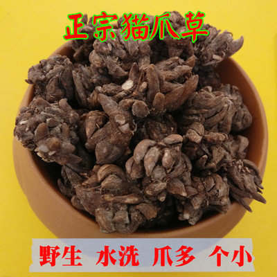 中药材猫爪草图片