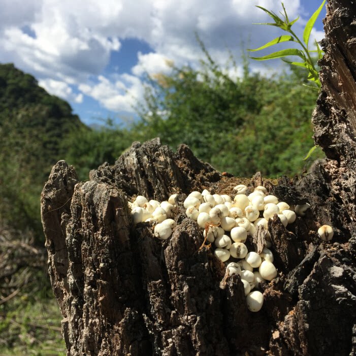 昌都假牌照【诚信50247172(q)】