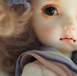 0 8.22 关仓 @大果子bjd