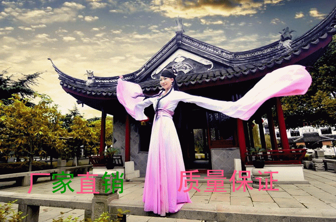 古典汉服舞蹈演出服女古装/舞姬姝姜妹姜甄嬛传惊鸿舞服装水袖舞