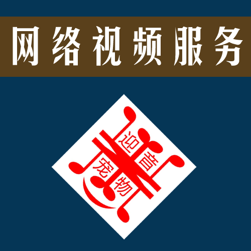 网络视频设计制作编辑推广上传服务代上传网站外链广告视频包通过