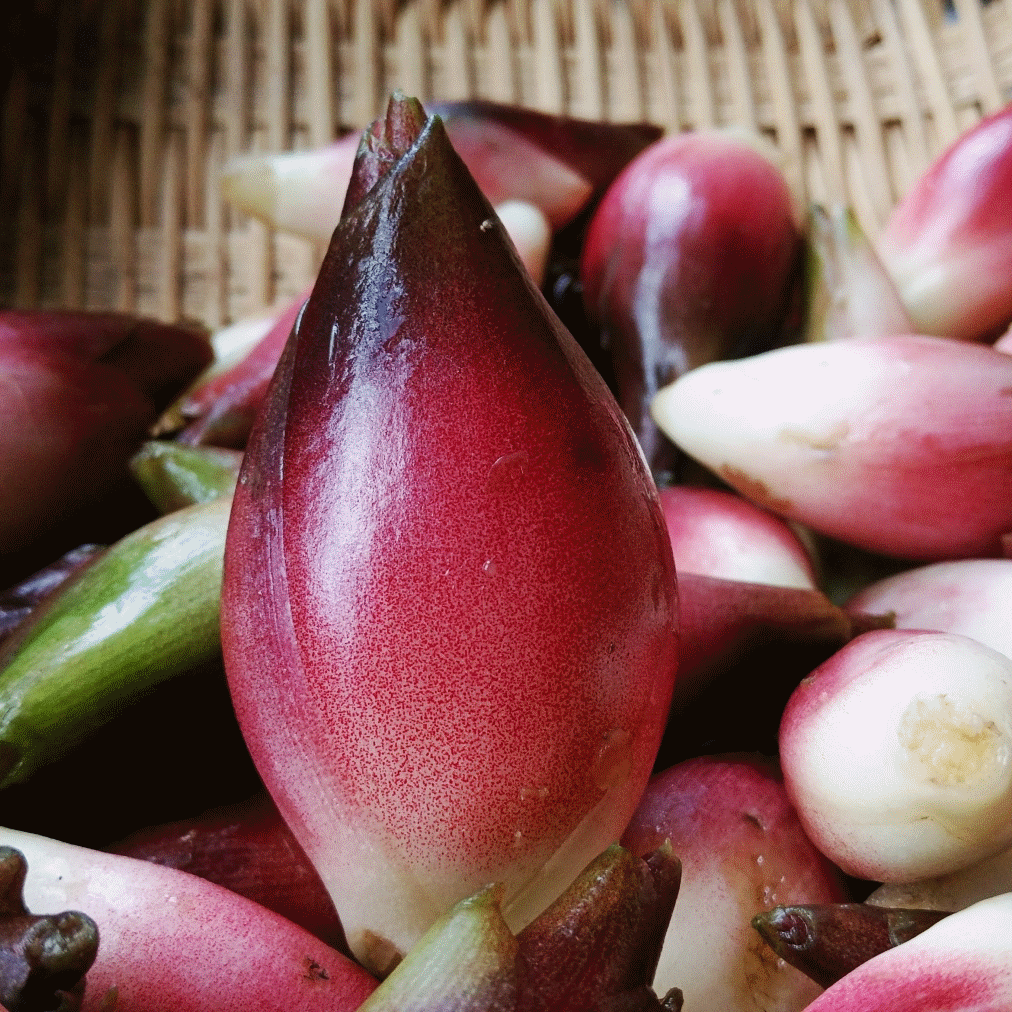 农夫色导航★水妹81038444(q)』