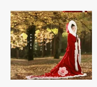 厂价直销影视唯美古装拖尾美女披风斗篷/演出服饰/大图片