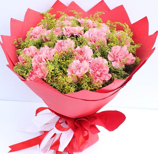 生日节日康乃馨天津市鲜花速递和平河西河东南开红桥同城送花