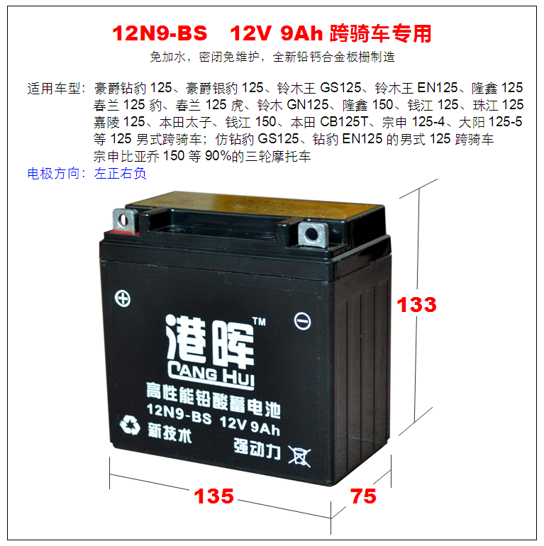 12n9-bs 摩托车电瓶12v9ah蓄电池 豪爵钻豹 铃木王 125男式跨骑车