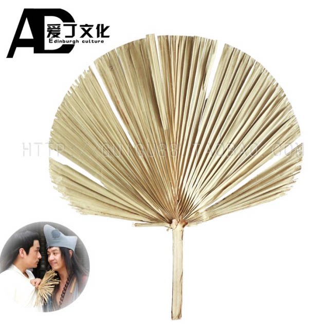 活佛济公美女服装【大咪女41.8991.56[q]】