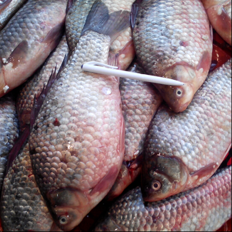 抚远县哪里可以叫小姐●妹.子Φ205913020