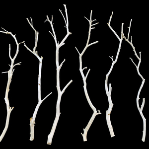 干树枝去皮 开叉龙骨装饰仿真树原木料材木棍树杆干花diy配件