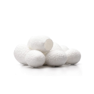 茧黑头蝉天然g肤茧茧小蚕壳壳茧肤洗茧蝉清洁去壳蚕茧脸1