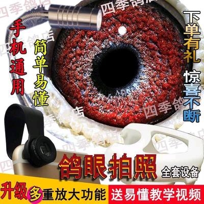 看鸽子眼底镜鸽眼拍照神器拍照放大镜多倍信鸽高清x用具通用手