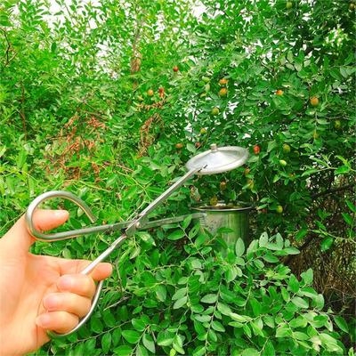 摘枣神器手动自制防洋揦山枣摘果器酸枣摘野果小果工具新型