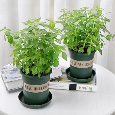 40小宏伟百货商行