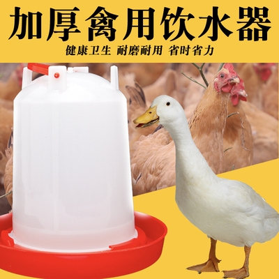 鸡鸡饮鸡水壶家禽喂养鸡真v空养动用设备饮水器自殖用品鸭鹅喝水l