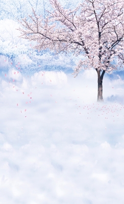 影楼摄影背景纸儿童古装拍a照主题背景花千骨 妖神 小骨