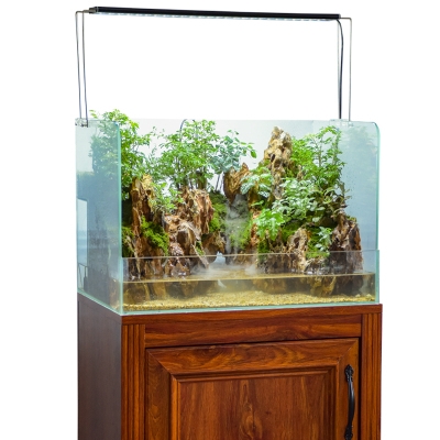 水草缸成品中小型景观q水陆缸超白雨林玻璃定制鱼缸生态缸造景水