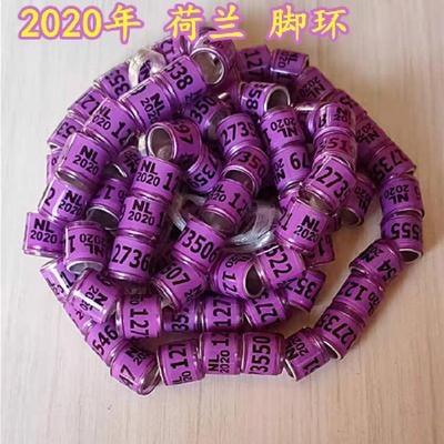 鸽子脚环2019年统一环信w鸽足环鸽子用品用具信鸽用品赛鸽鸽环.