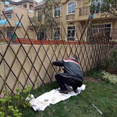 竹条爬藤竹架彩豆角搭菜园杆条b小篱笆.竹竿栅栏架蔬菜小细细