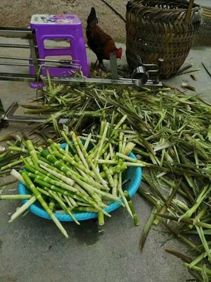 新品手摇剥笋剥笋机小型剥竹笋去皮机剥壳笋机s机器不锈钢剥笋器