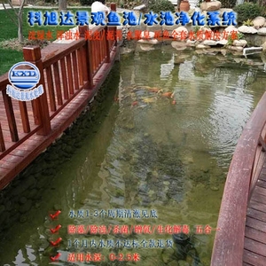 养鱼用的过滤器江苏镇江庭院假山水池水处理设备浓绿水解决方案