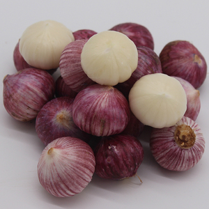 【珍珠蒜小果2.0cm以下】云南紫皮独头蒜新鲜辣湿蒜头挖5斤