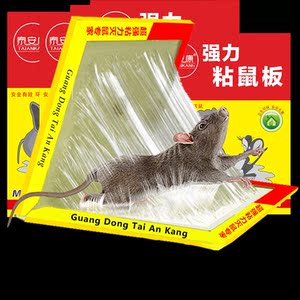 老鼠贴强力泰安康