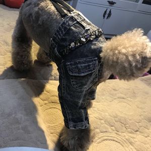 丑丑宠物衣服秋冬新款立体剪裁背带牛仔裤狗狗衣服 丑丑狗衣泰迪
