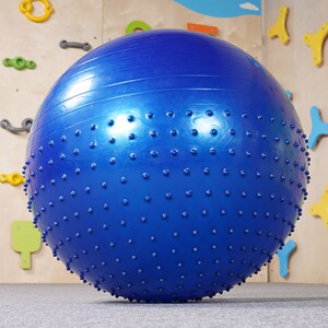 半触觉训练大龙球早教按摩感统充气器材室内儿童光滑橡胶家用玩