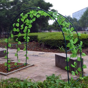 大棚葡萄骨架庭院暖房温室花房架子花园钢管蔷薇百香果花架爬藤架