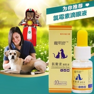 氯霉素滴眼液猫