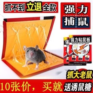 安全捕鼠神器灭鼠老鼠高效夹子全自动连续抓灭鼠器家用老鼠笼易捕