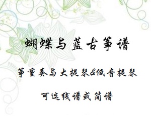 蝴蝶与蓝古筝谱 简谱五线谱重奏古筝与提琴 附带定弦