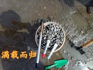 不锈钢耙子沙滩蛤蜊挖海鲜工具挖蚬子蛏子铲子贝类耙专用赶海神器