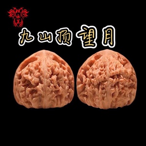 九山顶望月狮子头