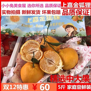 上嘉果业金狐狸春见耙耙柑丑橘丑柑不知火5斤新鲜发货包邮