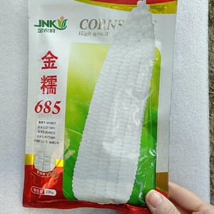 原包装北京金农科种子金糯685甜加糯白玉米种子净含量200克