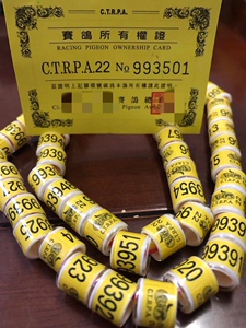 台湾2022年新款赛鸽足环 台鸽环带证书 信鸽比赛脚环  鸽子环包邮