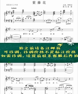 紫藤花伴奏