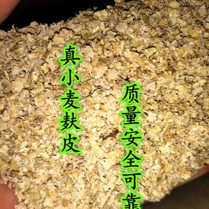 优质麦麸 麸皮 小麦皮 养殖用 土元 土元饲料 活体土元 麦麸500g