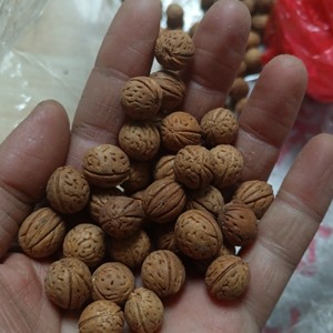 野生山桃核原料装袋拍打用填颈椎枕半斤一份非手串料新品包邮