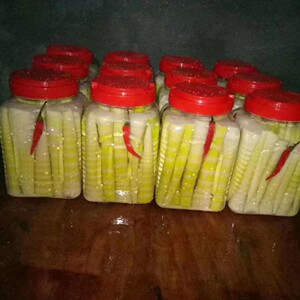 四川眉山洪雅特产正宗瓦屋山泡椒竹笋瓦屋山冷笋5斤