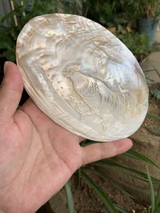 珍珠贝雕雄鸡纹老摆件天然的老珍珠贝带珍珠做工精致雕刻生动形象