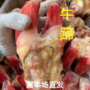 生牛蹄子