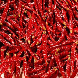 小辣椒真皮漆皮尖头单鞋女中跟细跟浅口jc高跟鞋红色女鞋夏0人付款