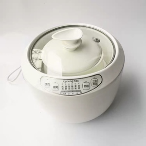 joyoung/九阳 d-10g1隔水电炖盅燕窝陶瓷迷你1-2人煲汤家用电炖锅